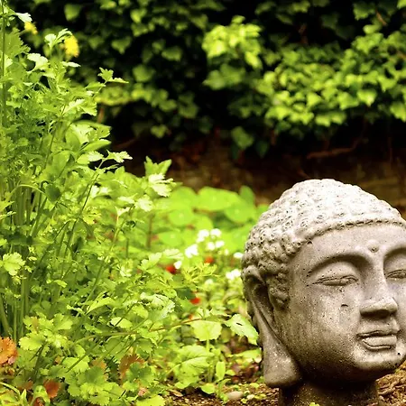 Ξενοδοχείο Romantik Sayn 4*